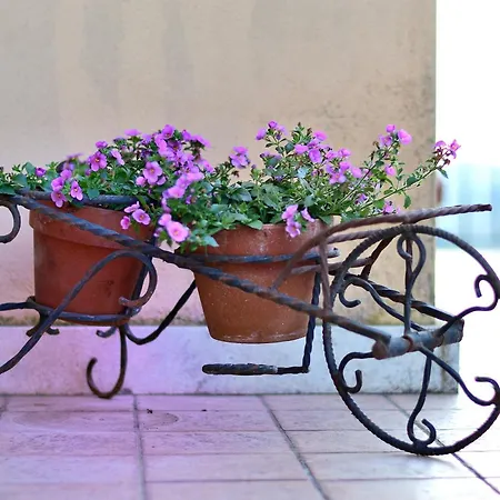 La Valle Del Tevere Otricoli